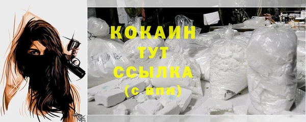таблы Богданович