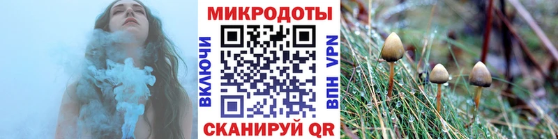 как найти   Кондопога  Псилоцибиновые грибы ЛСД 
