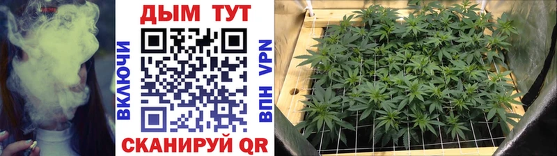 Бошки марихуана Bruce Banner  Кондопога 